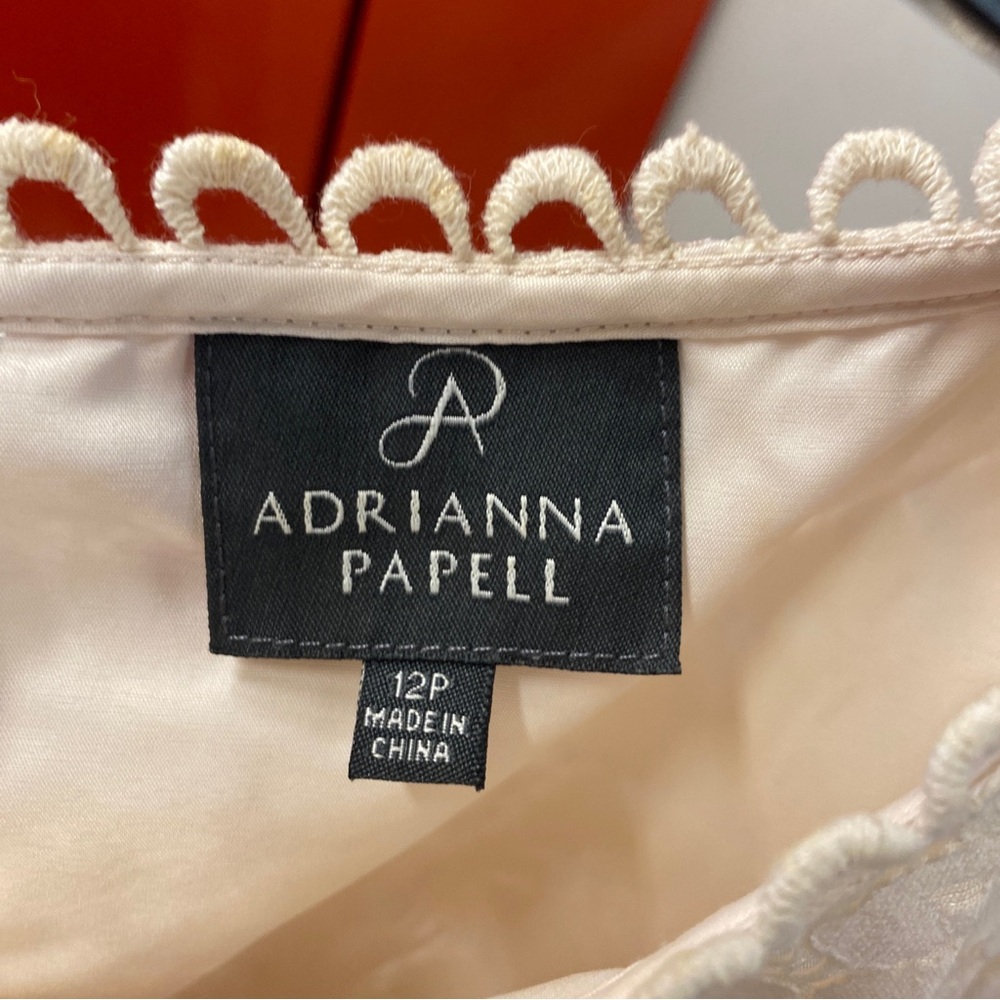 Adrianna Papell Lace Shift Dress in Cream | Size 12P - Picture 6 of 8